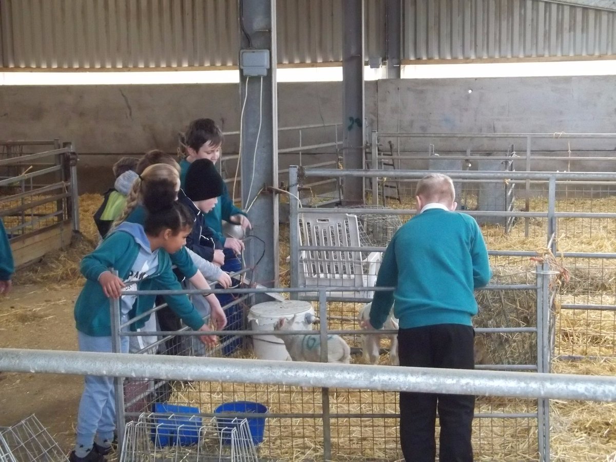 Broken Cross Primary Academy - Class 3 tweet media
