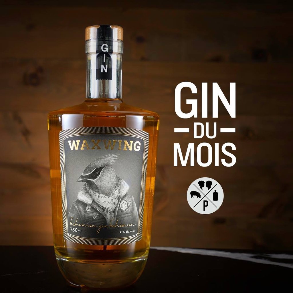 Waxwinggin's tweet photo. Montreal's Le Pourvoyeur gin pub will feature our @waxwinggin as the gin of the month this March! Say goodbye to Winter and welcome Spring with a delicious craft cocktail! 😄🥃
.
.
#waxwinggin #airdistillerie #lepourvoyeur #gin #ginpub #pub #quebec #montreal #mtl #bar
https://t.co/ggY21M7CjS