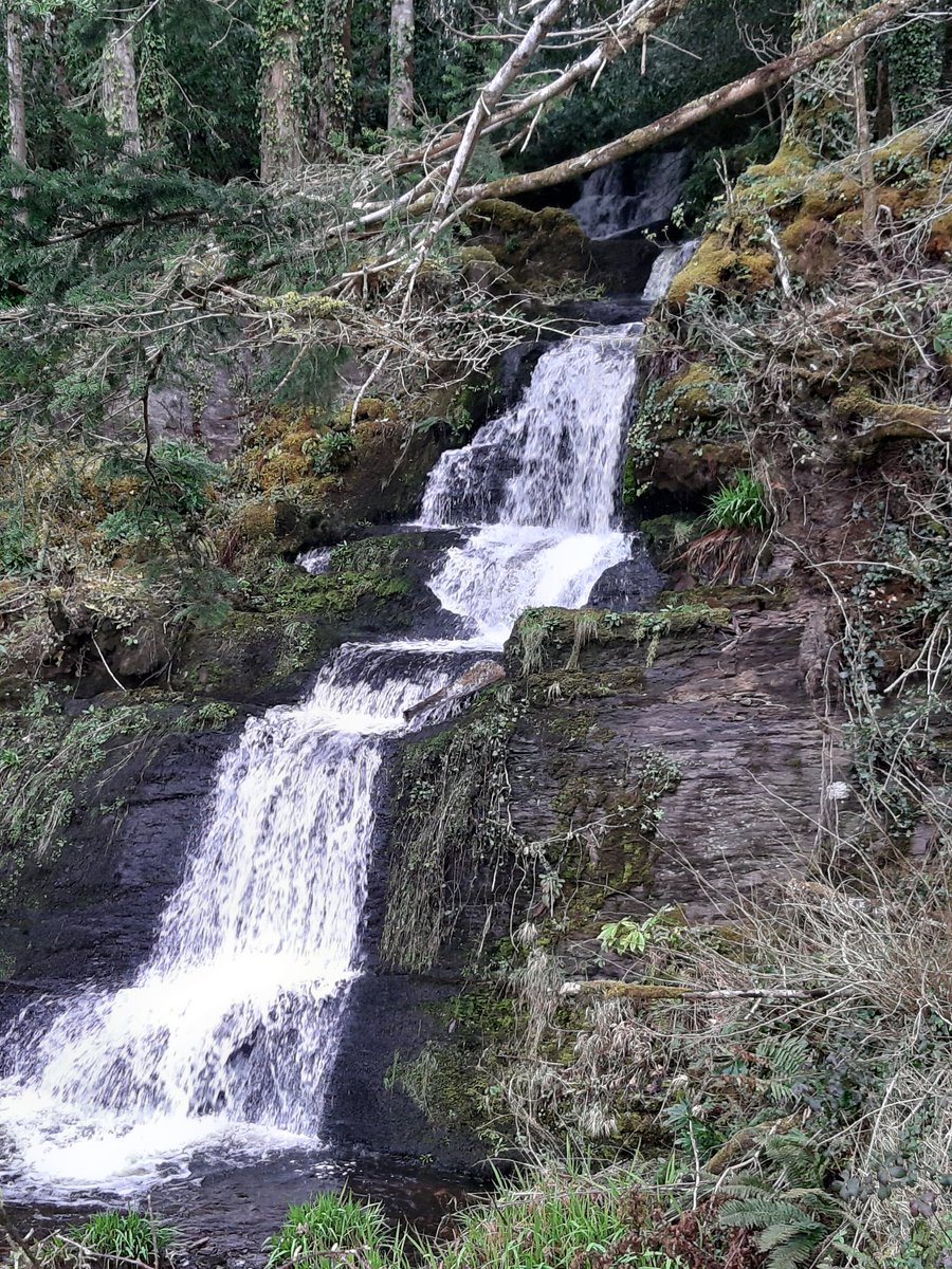 <a href="/Pennardprimary/">Pennard Primary</a>  
#year4 delighted to give a talk about my walk around Ireland &amp; Britain to a class of 11 and 12 year olds at #StMichaelsNationalSchool
#sneem
#countykerry
Great questions and a little walk in the rain. Thanks for organising <a href="/MikeHus13/">Mike Hussey</a>
Can you find me on the map?