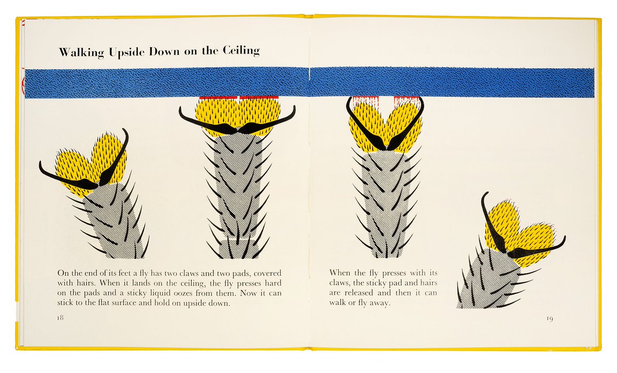 UoRTypographyColls tweet media