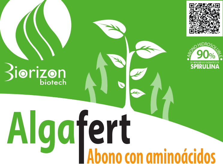 BiorizonBiotech's tweet photo. Por su contenido en precursores hormonales #algafert es idóneo para el olivo. 
Mejor rebrote y floración, frutos cuajados. Rentabilidad superior.
@gruposuca, @DcoopSCA, @coopcolival, @Coop_Monteoliva #biorizon https://t.co/knQO7RqqGq