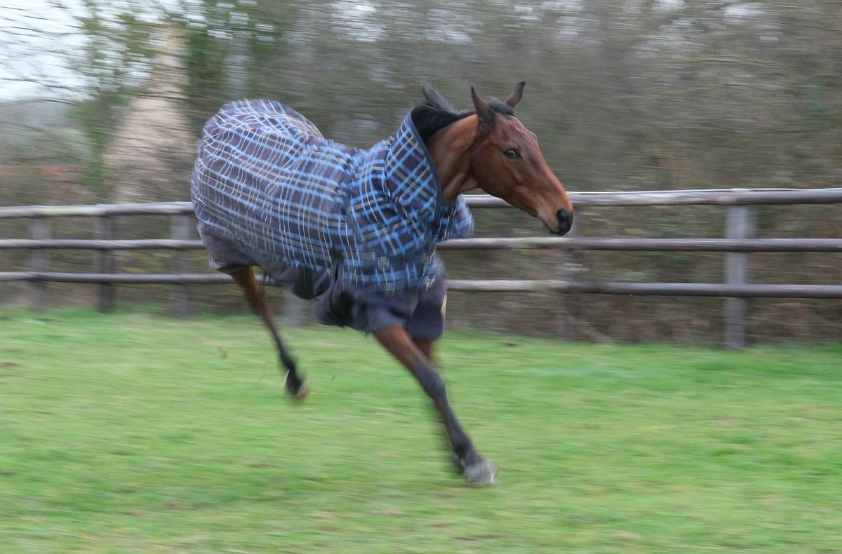 J’ai pas trop l’air d’avoir mal encaissé ma course ?🤔Je dirais même que je suis en pleine forme ! 😃