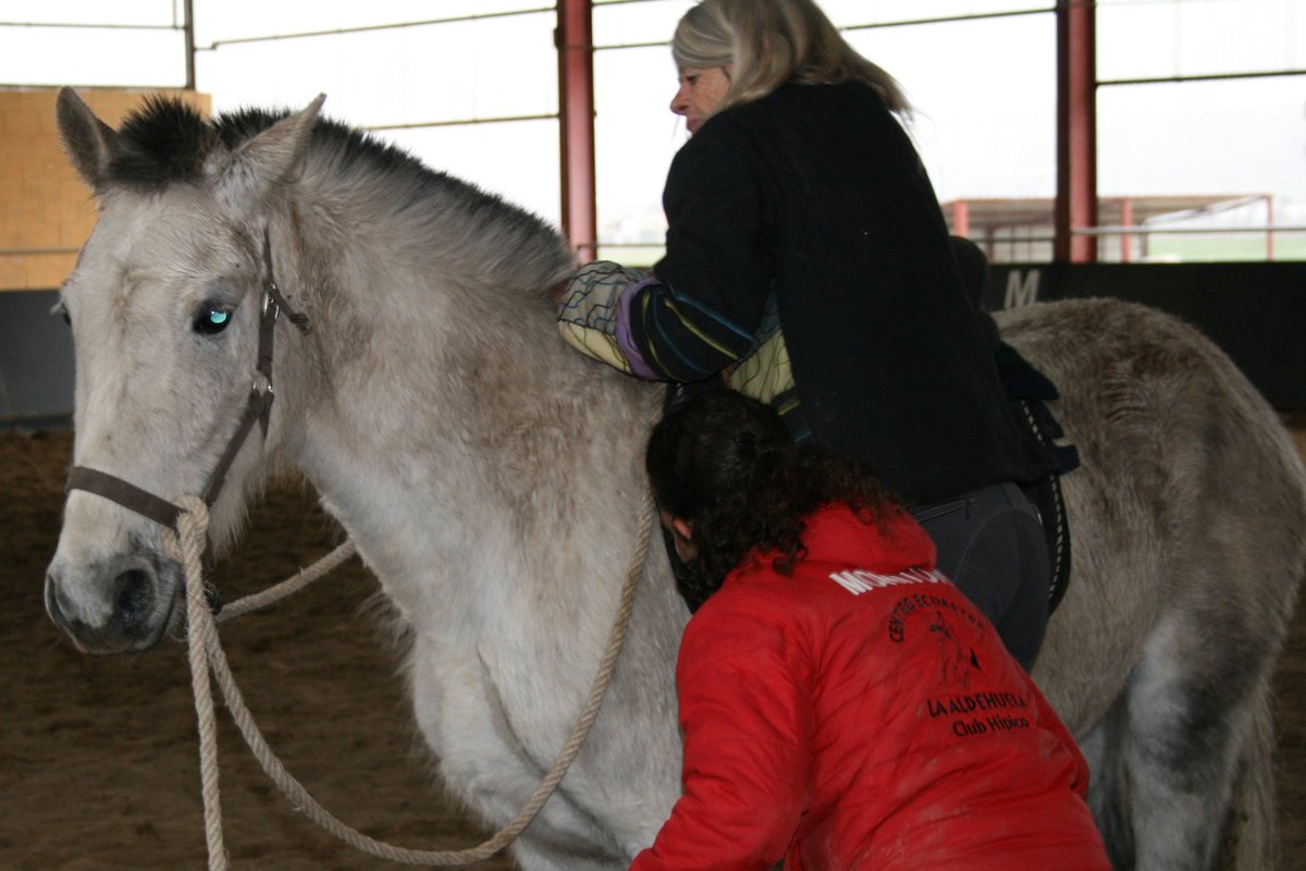 FGanaderia's tweet photo. Un conocimiento profundo de la etología equina permite racionalizar el manejo del caballo. Gracias Lucy Rees por compartir tu sabiduría. #elaulafueradelaula #aula_empresa #FSE_AulaEmpresa_CyL #lucyrees @FGanaderia @IESTorresVi https://t.co/316AplUZ7C