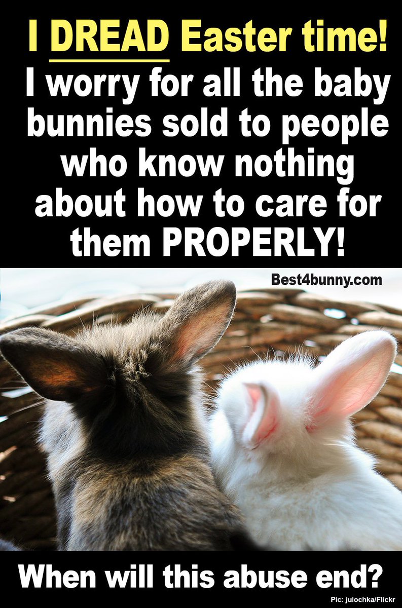 Best4bunny's tweet photo. Do you dread Easter time too? https://t.co/RnZbkd2jFq