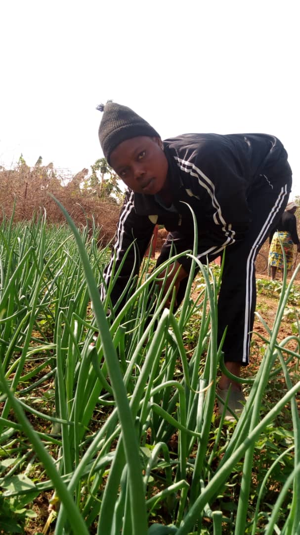 aprovag's tweet photo. Les femmes de Saal dans leur périmètre maraicher.
#Kebetu #Senegal 
@rikolto @H3000EastAfrica @HORIZONT3000 @FAOWestAfrica @COCOGEP1 @Reporterre @IsmaelNdao @ActionaidSN https://t.co/q9ccuRPeJw