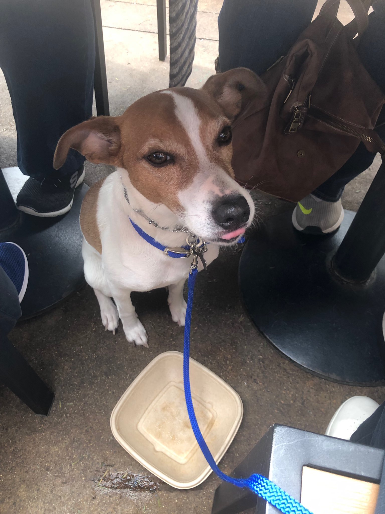 IDOC Dental Lab (IDOCdentalLab) / Twitter