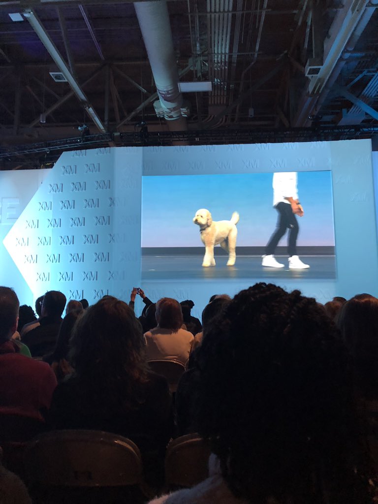You know it’s gona be a pawsome conference when a doodle shares the stage w/ <a href="/Oprah/">Oprah Winfrey</a> <a href="/BarackObama/">Barack Obama</a> <a href="/aplusk/">ashton kutcher</a> 👍 <a href="/RyanQualtrics/">Ryan Smith</a> My Human wants to pet Barnaby, where’s his meet &amp; greet? #qualtricsx4