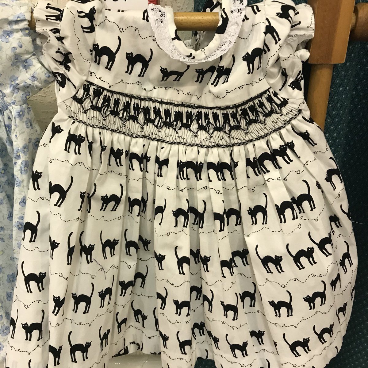 Axminster Country tweet media