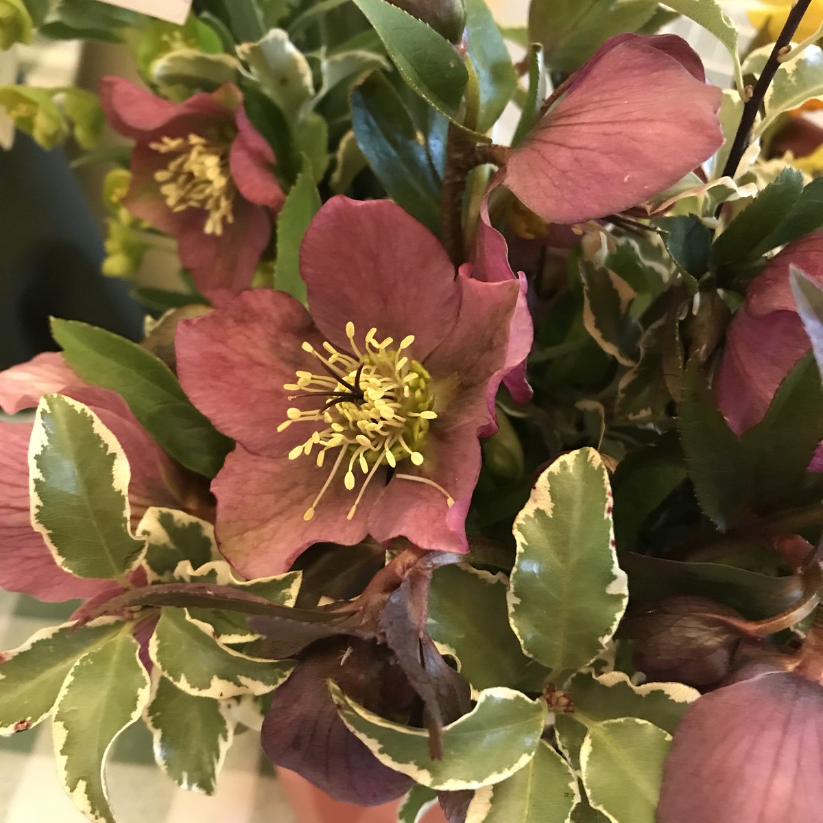 Axminster Country tweet media