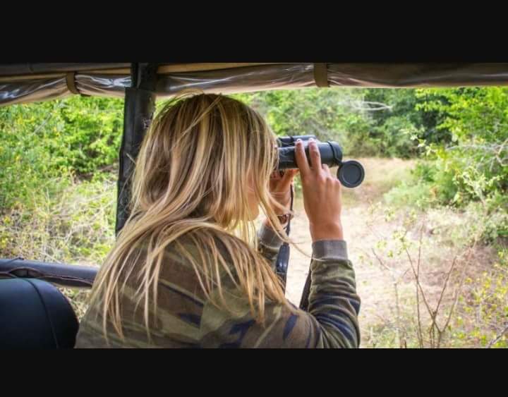 BlueYala's tweet photo. Yala national park sri lanka https://t.co/bcCmC9OnFb