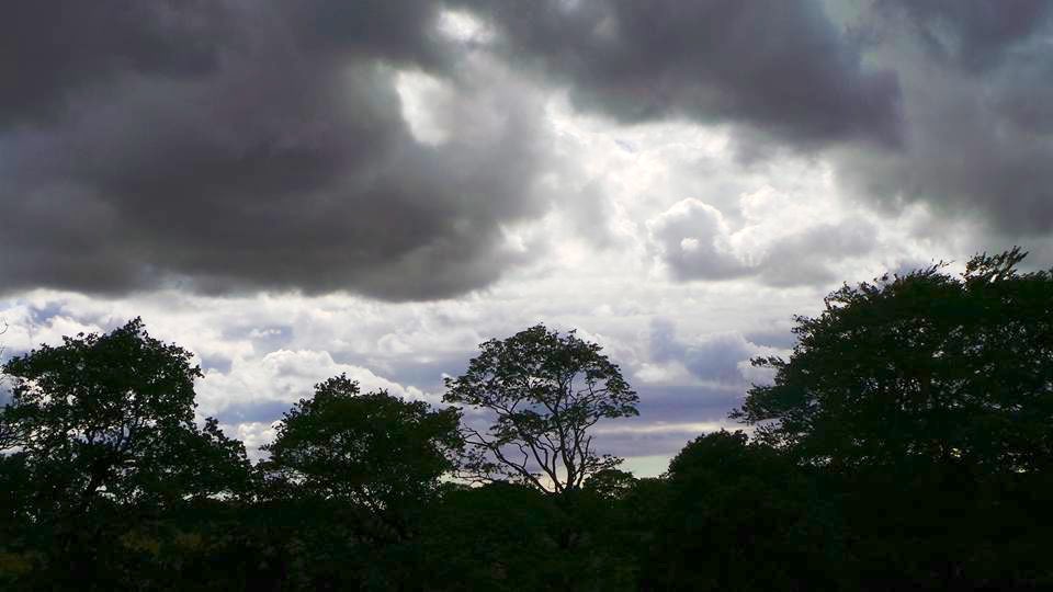 SaveOurSparrows on Twitter "Parked up in a Laybye Devouring Fish & Chips Rainy Day moment Got