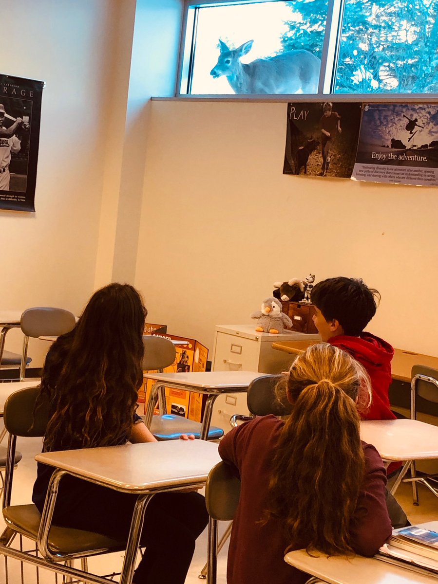DlewisLife's tweet photo. Our woodland friend heard how fabulous 6th grade health class is! 🦌 #vapingisdangerous #RLMSbulldogs #FPSCT https://t.co/5nPx89WJg7