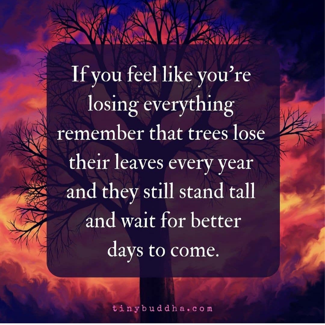 DianeYeschenko's tweet photo. #todayisanewday https://t.co/wpbUjs0wTP
