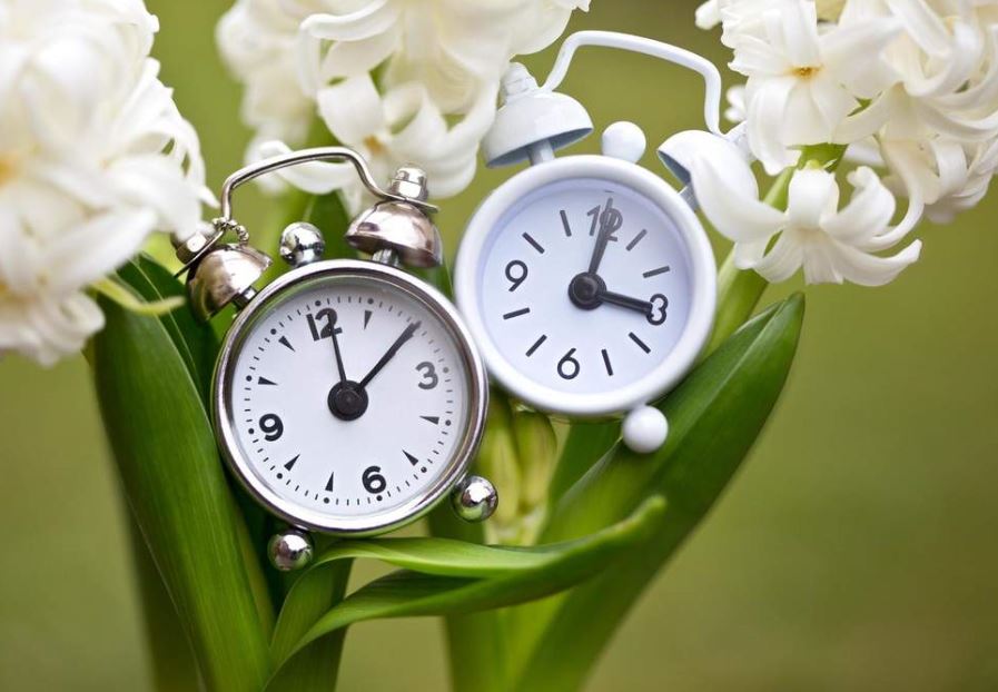 calgarytransit's tweet photo. #CTRiders! This is a friendly #reminder that it is time change on March 10th at 2am!!! "Spring Ahead" one hour. #DayLightSavings #yyc #TimeChange #BlueLine #RedLine #CTBusRoutes #ThisWeekend #GoToBedEarlier #DontBeLate #LoseAnHour https://t.co/Y0KKtYcYbS