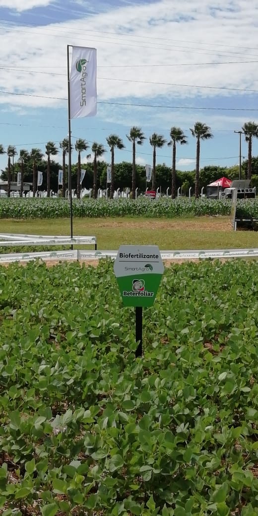 summabio's tweet photo. #SíntesisBiológica y #SmartAgro presentes en AgroShow Copronar 06, 07 y 08 de Marzo en Naranjal, Alto Paraná. #Paraguay #BeterFoliar #GenerandoBuenosVínculos https://t.co/wu18yaFiEl