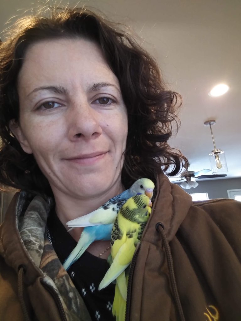 LParakeets tweet picture