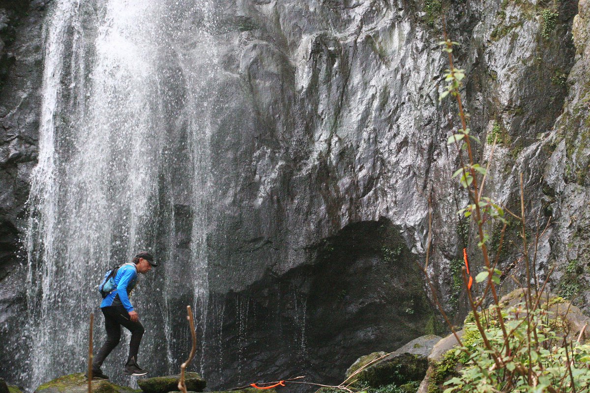 AciertaOaxaca's tweet image. 🏅 Daniel Zurita Valencia conquista la #SierraMixe acierta.mx/site/daniel-zu… #Oaxaca Vía @Territorioscore
