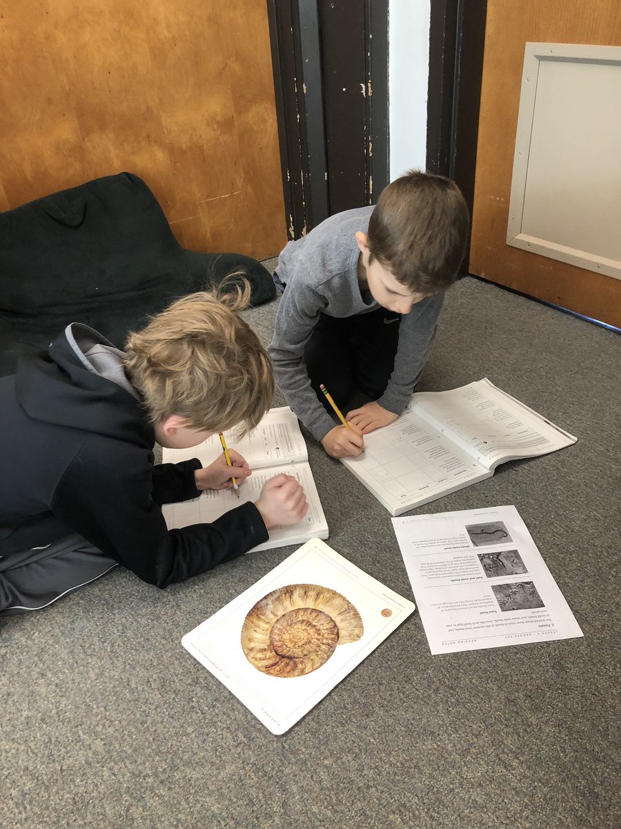 Classroom206's tweet image. After uncovering fossils, students worked together to describe and identify the fossil type #D64smiles #EngageD64 #TCIscience