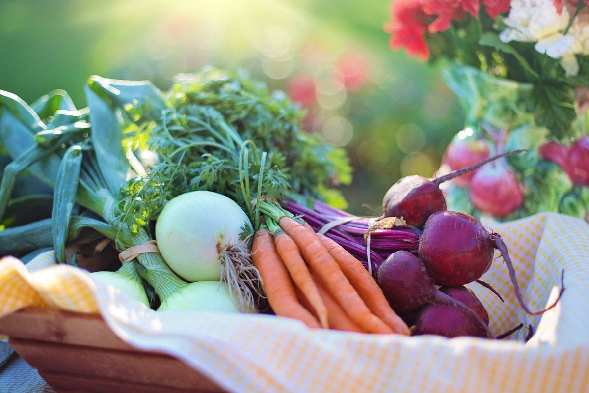 Vous voulez en savoir plus sur le secteur agricole du N.-B.? Vous cherchez de nouvelles opportunités agricoles comme la succession ou la vente / location de terres agricoles? Visitez AgriDepartNB.ca pour obtenir de l’info et du soutien! #AgriDépartNB #relèveagricole