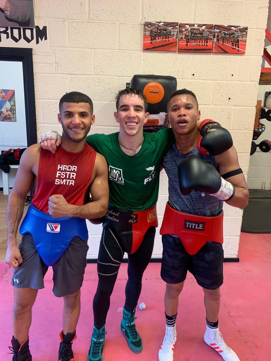 mickconlan11's tweet photo. Good 10 rounds in the bank with @Gamal_yafai &amp; @Ludumo9mm to finish up sparring for this camp!

Just 11 days to go ☘️⏰☘️ #TheConlanRevolution #ConlanHernandez https://t.co/pUAKx8fLBp