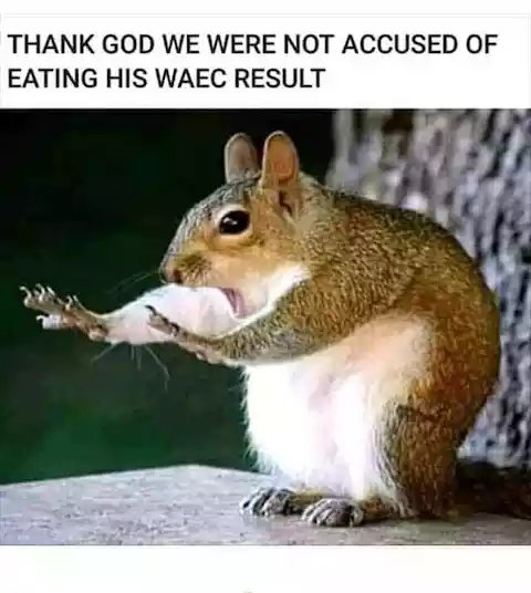 SurplusFanders's tweet image. And he stole mandate