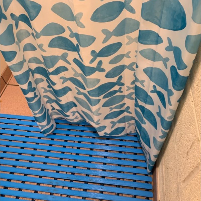 dunhamscoutcamp's tweet photo. We have been doing some work in our toilet block! New electrics throughout and additions to the adult toilets incl. handryers, hairdryer (ladies), shaver plug (mens) plus new curtains and mats in the shower areas! #dunhamparkscoutcamp #gmwscouts #scouts #campsites #newfor2019 https://t.co/F50sQvi3Z8
