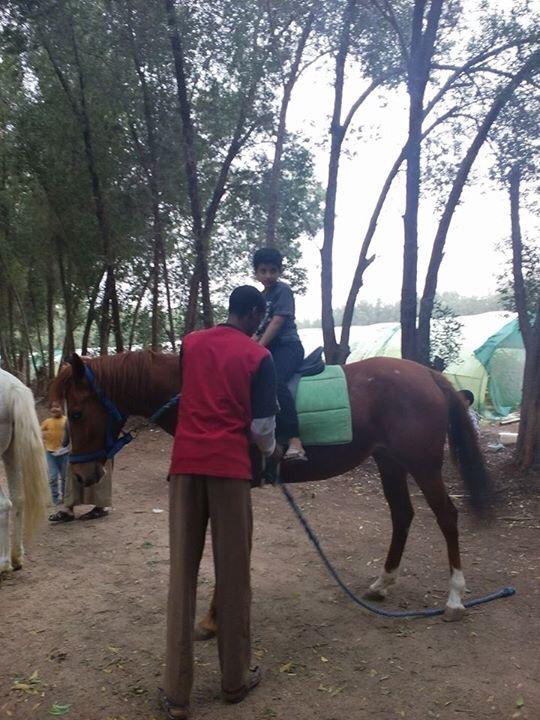 He2010Sayed's tweet image. الجمعه في مزارع البوعينين كشتات العاب اطفال ركوب خيل واقوي العروض علي الخضروات 0568251671 واتس للتواصل