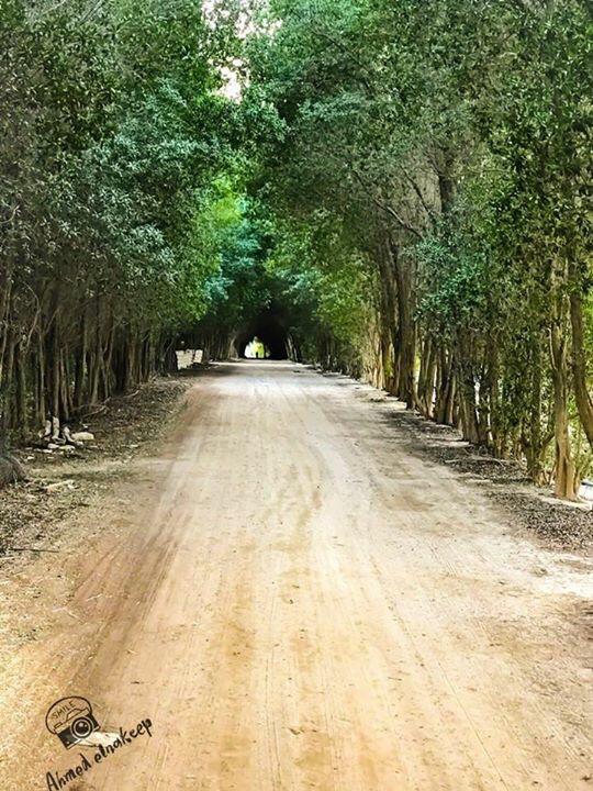 He2010Sayed's tweet image. مزارع البوعينين هي وجهتك في العطلات اغتنم الجلسات المجانيه واجواء ريفيه مع توفر العاب اطفال وركوب خيل 0568251671