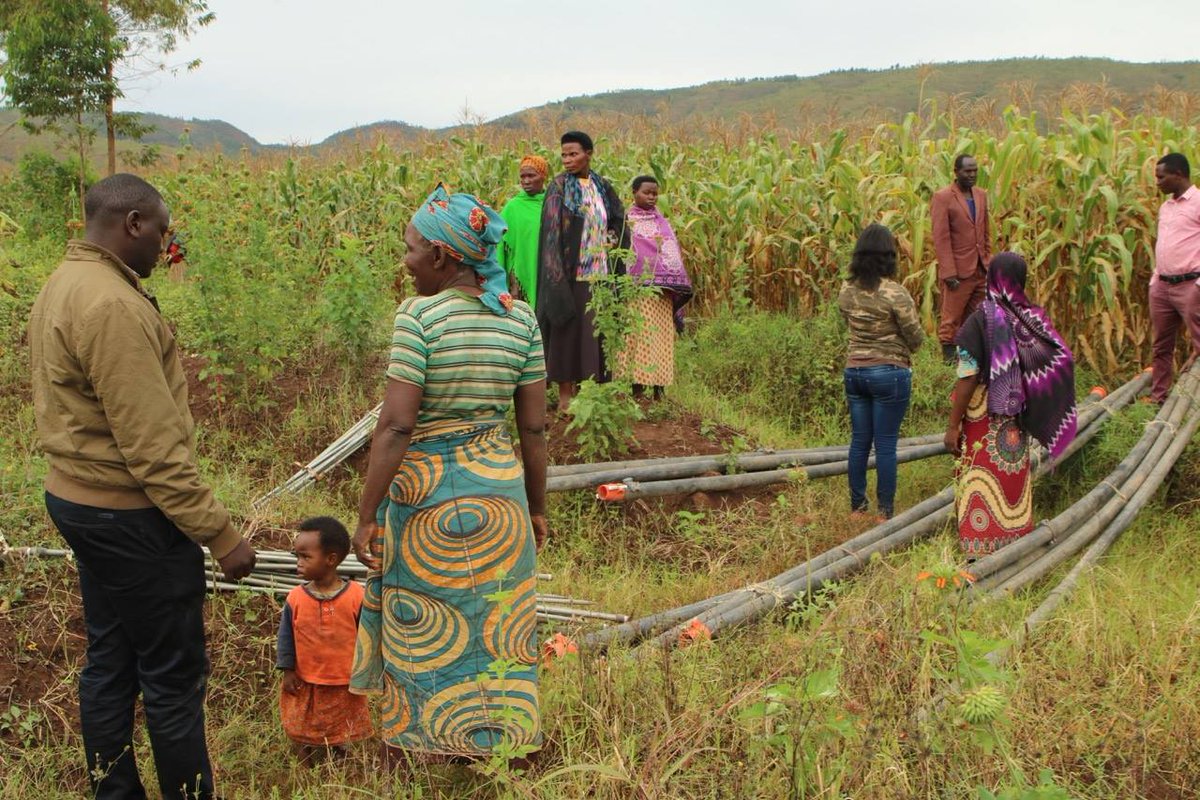 waterforfood's tweet photo. The future of #foodsecurity in #Rwanda depends on producing more crops with the same amount of resources on #smallholder farms. A key component of the government’s solution is to double the amount of #irrigated land. Read more about our team's recent trip: https://t.co/yhlGlyfGCA https://t.co/SvpTUAj4bu