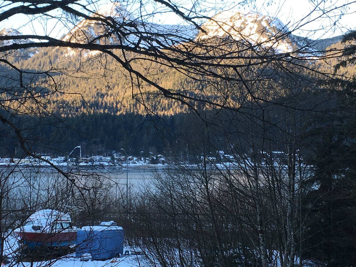 Brenda Overcast tweet media