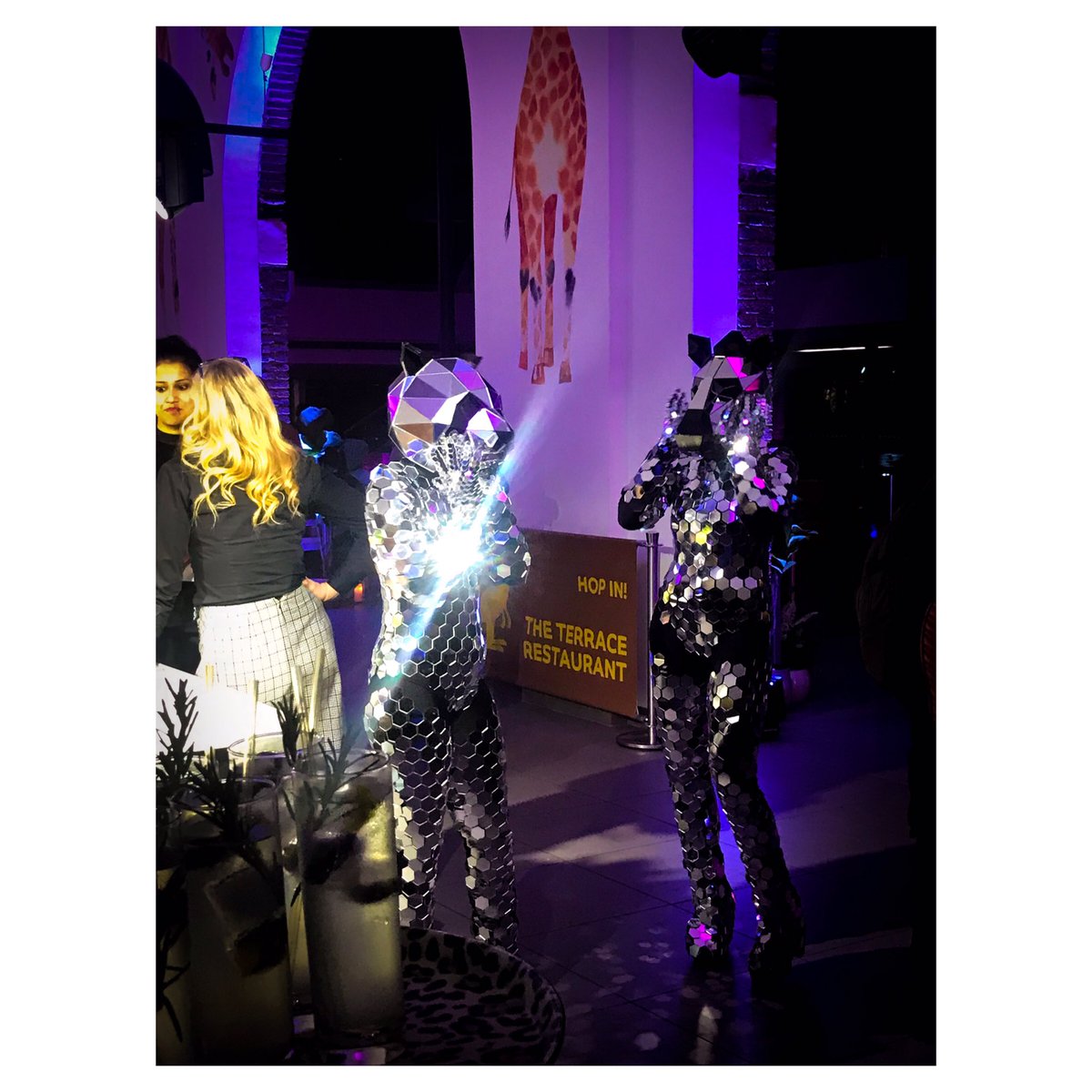 chandco's tweet photo. A mirror ball panda and a zebra! Must be @zsllondonzoo and @ZSLcatering Summer Showcase #WelcomeToWildlife 

#events https://t.co/305Eti0g40
