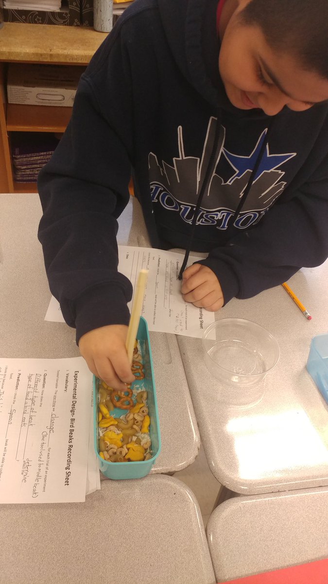 kamdell's tweet photo. Exploring the structure and function of bird beaks. #adaptations @eMC_Squared_TDS @HighlandHtsES @Wanderingft https://t.co/GezUPfnOWx