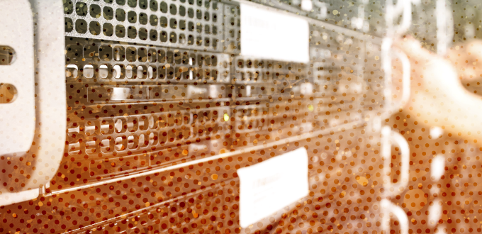 Se acaba de publicar una nueva edición de #LACNICnews. No te pierdas la oportunidad de leer todas las novedades de este mes: prensa.lacnic.net/news/ #IPv6 #RedesComunitarias #ciberseguridad