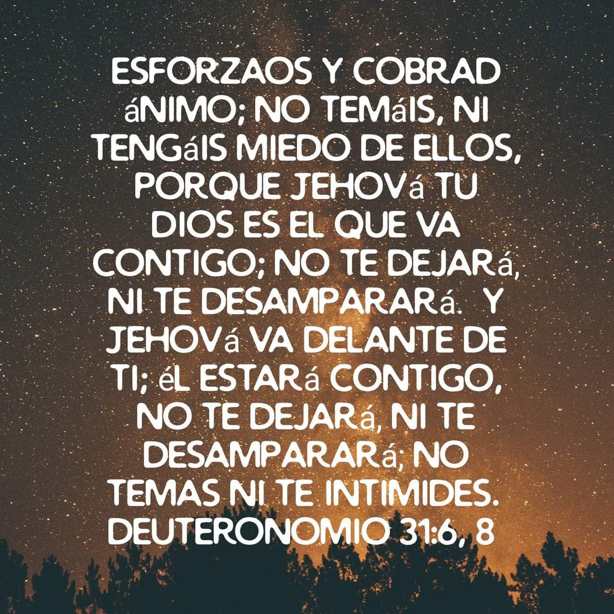 DIOS hoy te vuelve hablar diciendote: Hijo mio solo te pido que te esfuerces un poco mas y que ese animo que has perdido por no ver aun tu respuesta, lo recobres en la Fe y Confianza que tengas en MI, YO SOY EL UNICO DIOS GRANDE FUERTE PODEROSO Y QUE CUMPLE SU PALABRA SIEMPRE.
