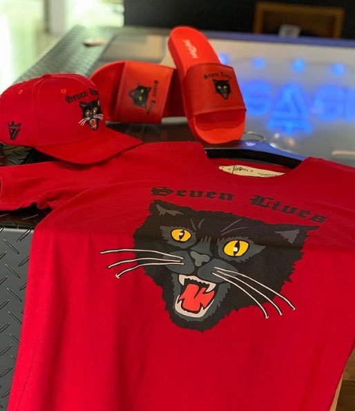 SEVEN LIVES - mailchi.mp/caea54ea0baf/s…