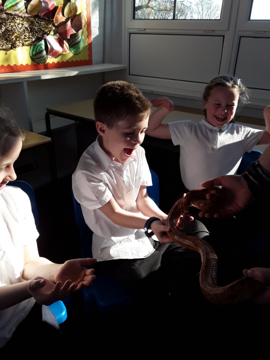 Year2TheHill's tweet photo. Year 2 has the best time yesterday learning about all the animals and their habitats. Thank you Luke from Quirks animal roadshow! https://t.co/PQEu2pgWgy