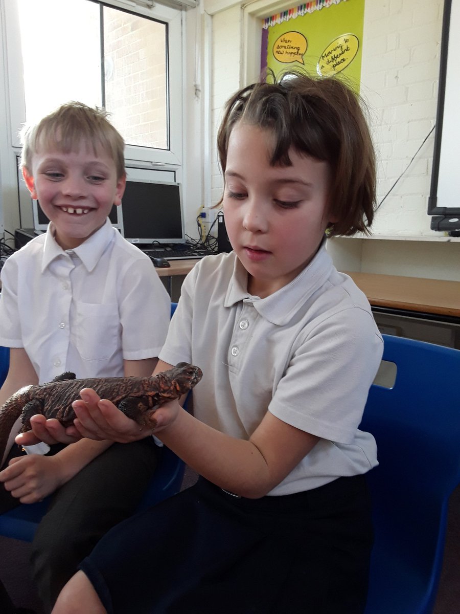 Year2TheHill's tweet photo. Some more photos from the animal roadshow...We really loved Buddy the chameleon and Troy the corn snake! https://t.co/CT2MNlJ8Pb