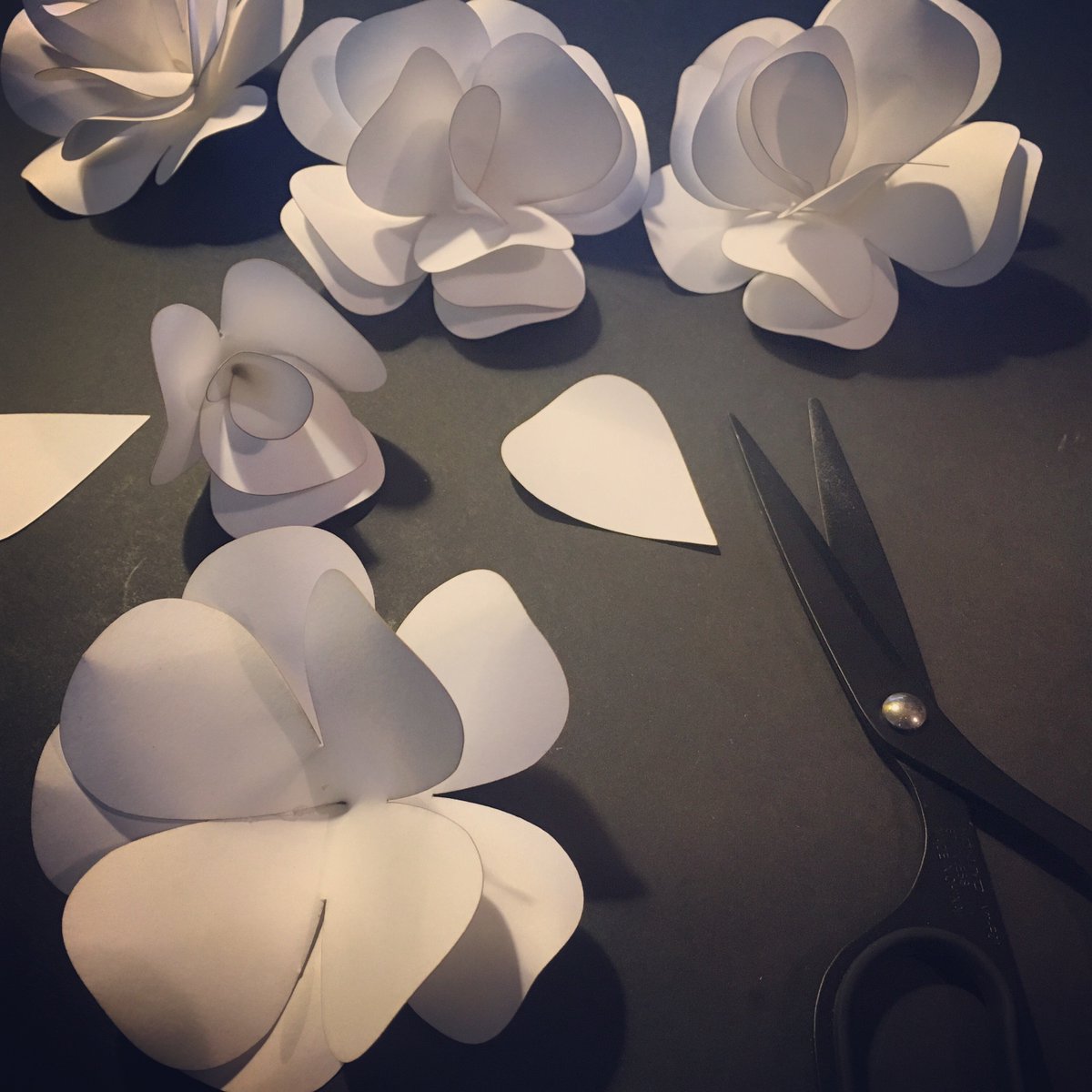 DesignBySource's tweet image. Making paper flowers to decorate The Makery with today #lasercutting #paperflowers #weddingbouquet #madeinscotland #themakerydunbar #shoplocal #shopdunbar #Dunbar #EastLothian