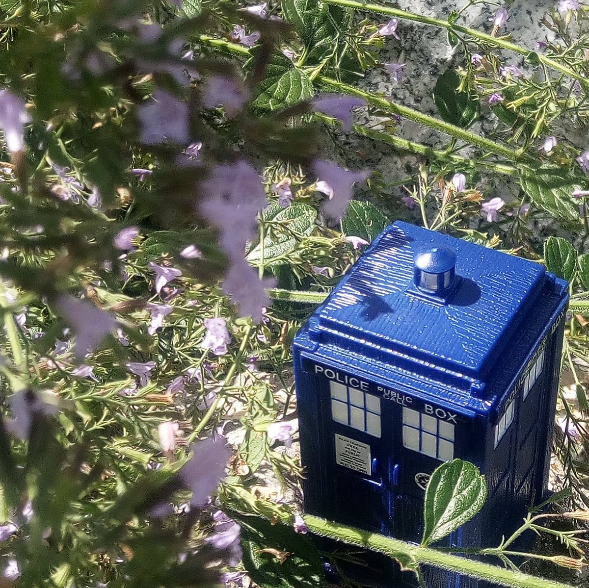 Iltu123's tweet photo. Doctor, where are we? Or ... is it when?
#doctorwho #tardis #toyphotography #HomeForWhovians #biggerontheinside #inourgarden #intimeandspace https://t.co/GbWeuLTMni