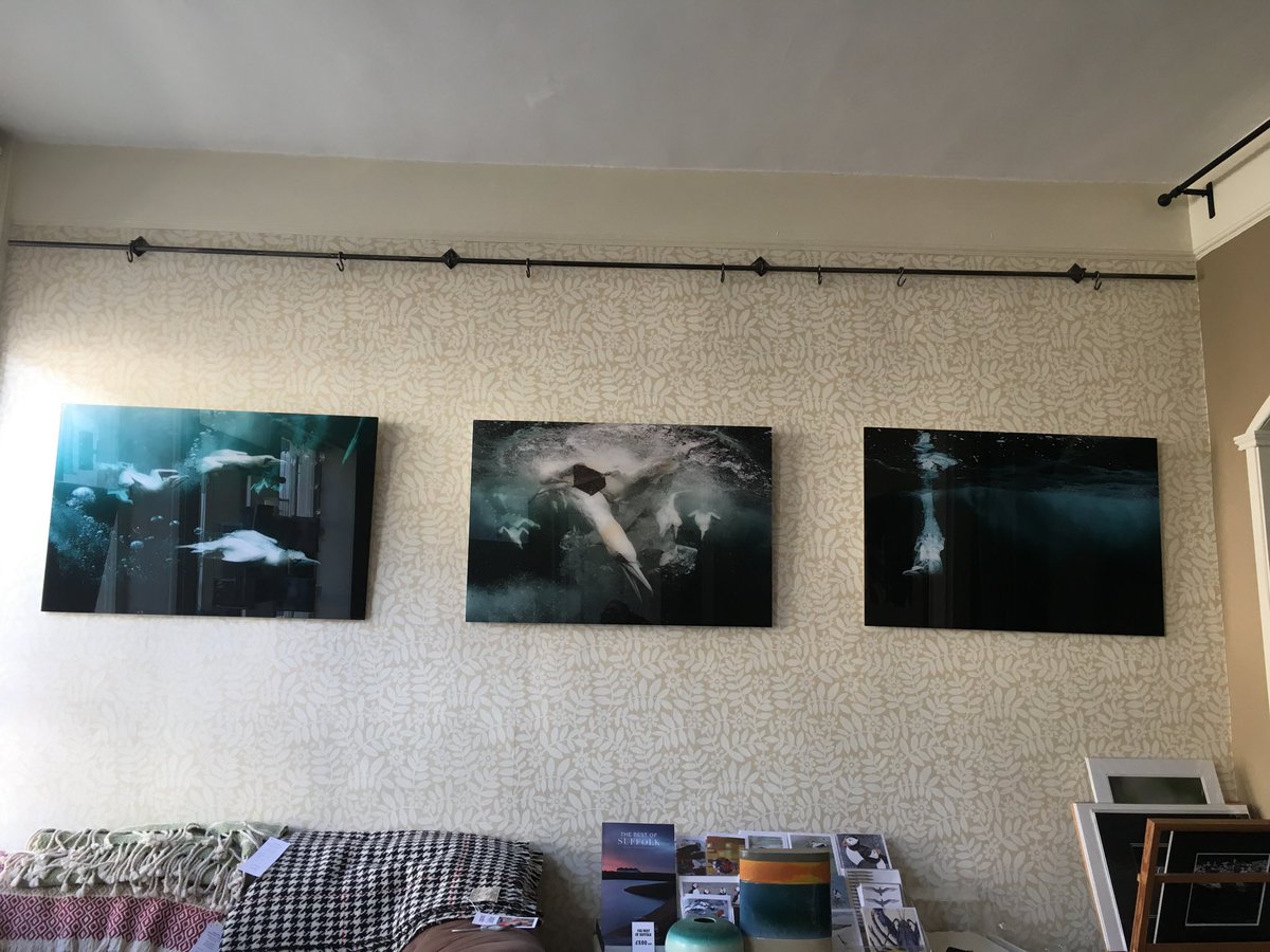 Sea Pictures Gallery tweet media