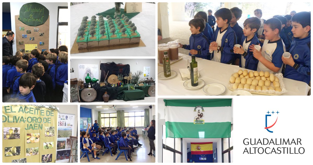CGuadalimar's tweet photo. ¡Qué suerte ser andaluces!

💚 Con motivo de la próxima festividad de Andalucía, los alumnos preparan actividades relacionadas con nuestra comunidad autónoma, con nuestra ciudad, y con el oro líquido de Jaén: el aceite de oliva. 🌳

#BeAttendis #ComoTúLoHarías #Attendis #Jaén https://t.co/8bkdWN85cr