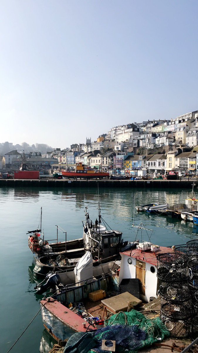 .scott thomas. tweet media