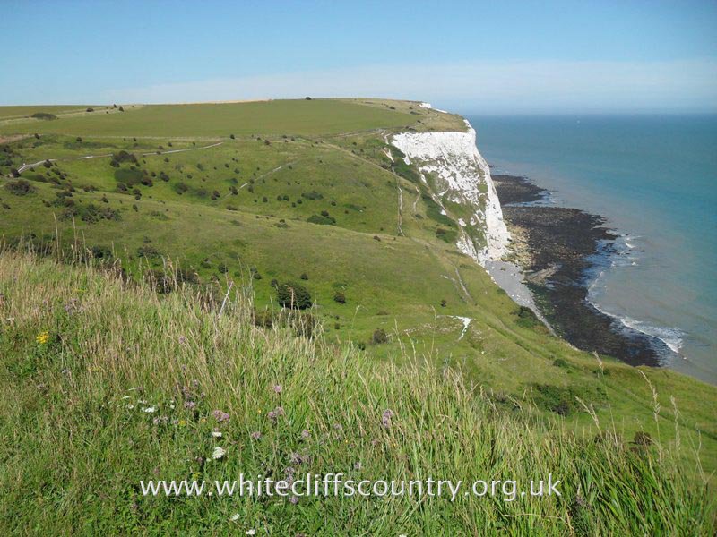 Delighted to welcome <a href="/BOREHAM_WOODFC/">Boreham Wood FC</a> &amp; supporters  to <a href="/VisitDover/">White Cliffs Country</a> on 12 March, as they face <a href="/DoverAthletic/">Dover Athletic FC</a>. We hope you all enjoy your #visit to #WhiteCliffsCountry. For ideas on where to stay, eat, &amp; places to visit in #Dover Kent
bit.ly/2IDGpBj    #Welcome #familytime