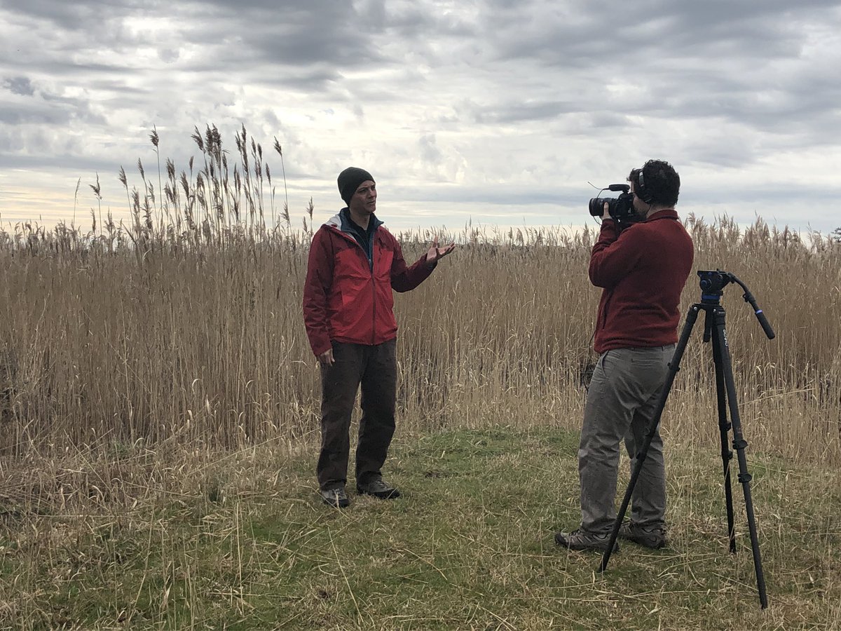 spending today talking about sea level rise and saltwater intrusion with <a href="/scifri/">Science Friday</a> <a href="/lgroskin/">Luke Groskin</a> - here @WaterPotential explains how ditches and canals throughout NC’s coastal plain expand the impact of saltwater intrusion deep into the interior.
