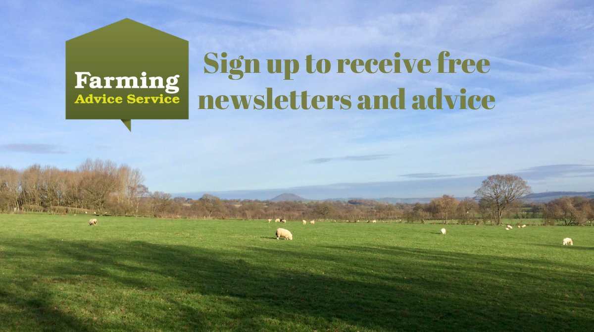 MouleandCo's tweet photo. Spring is in the air with blue skies and lambs leaping. Now is the time to catch up on the paperwork before lambing and calving starts. The Farming Advice Service publishes newsletters with tips and advice to help farmers. Sign up here: https://t.co/9SVbKOt1Bm @DefraFAS #Farming https://t.co/TMv2hlBzIW