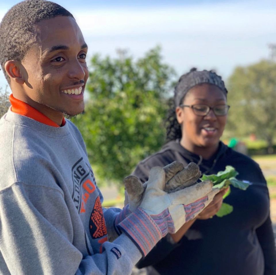 choicemakeit's tweet photo. It starts in the Field ๐ฑ. The ideas of the Head ๐ง move the journey of the Hands ๐๐พto satisfy the passion of the Heart ๐งก๐. VOTE CRENEL โCJโ Francis for Mr.FAMU #ConnectedWithCJ #CJ4M #MrFAMU #VoteforCJ #FAMU22 #FAMU21 #FAMU20 #FAMU19 #FAMULaw @CJ4MRFAMU https://t.co/3oWExmdJHA