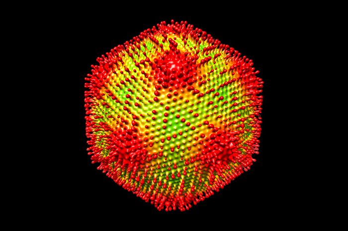 Megavirus, Mimivirus,... welcome Medusavirus as the latest addition to the mysterious family of giant viruses! 381kb genome encoding for >460 putative proteins... even histones! goo.gl/atHC4i 
#giantvirus #coevolution #virusesruleourworld  -AB