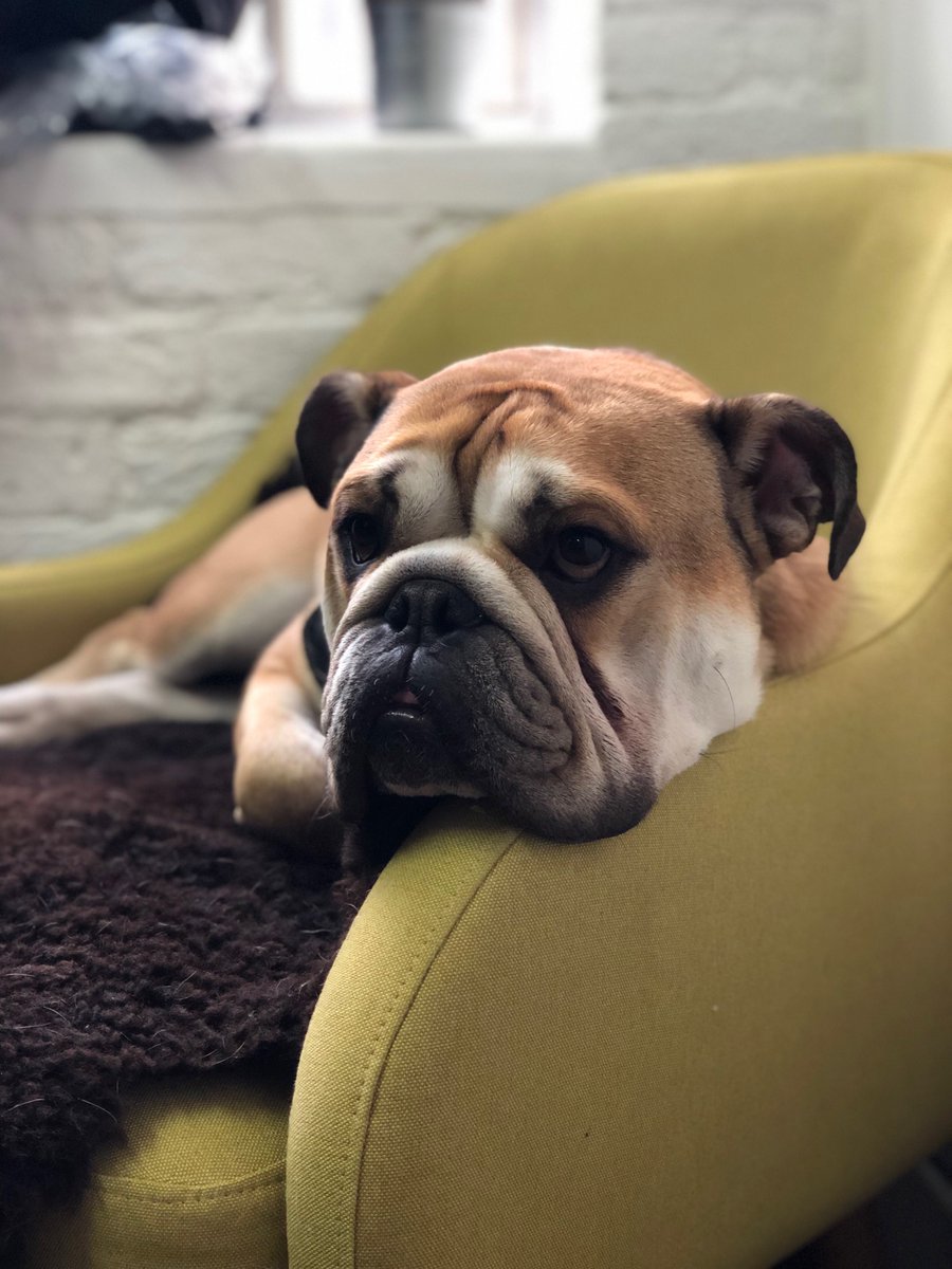 jabba_CEO's tweet photo. got some new headshots done for an upcoming feature in @Forbes - watch this space!! #ThoughtLeadership https://t.co/ia66T5lopS