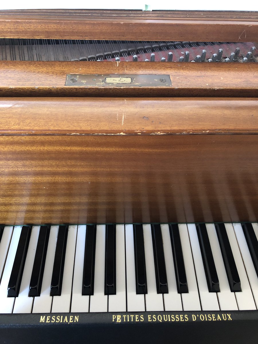 MayaRosenwasser's tweet photo. Took this out the library yesterday and someone has pencilled in all the fingering for small hands! Thank you, you anonymous small handed piano playing babe, much appreciated🐸 #messaien #petitesesquissesdoiseaux #wesaluteyou https://t.co/QBUWAx8cis