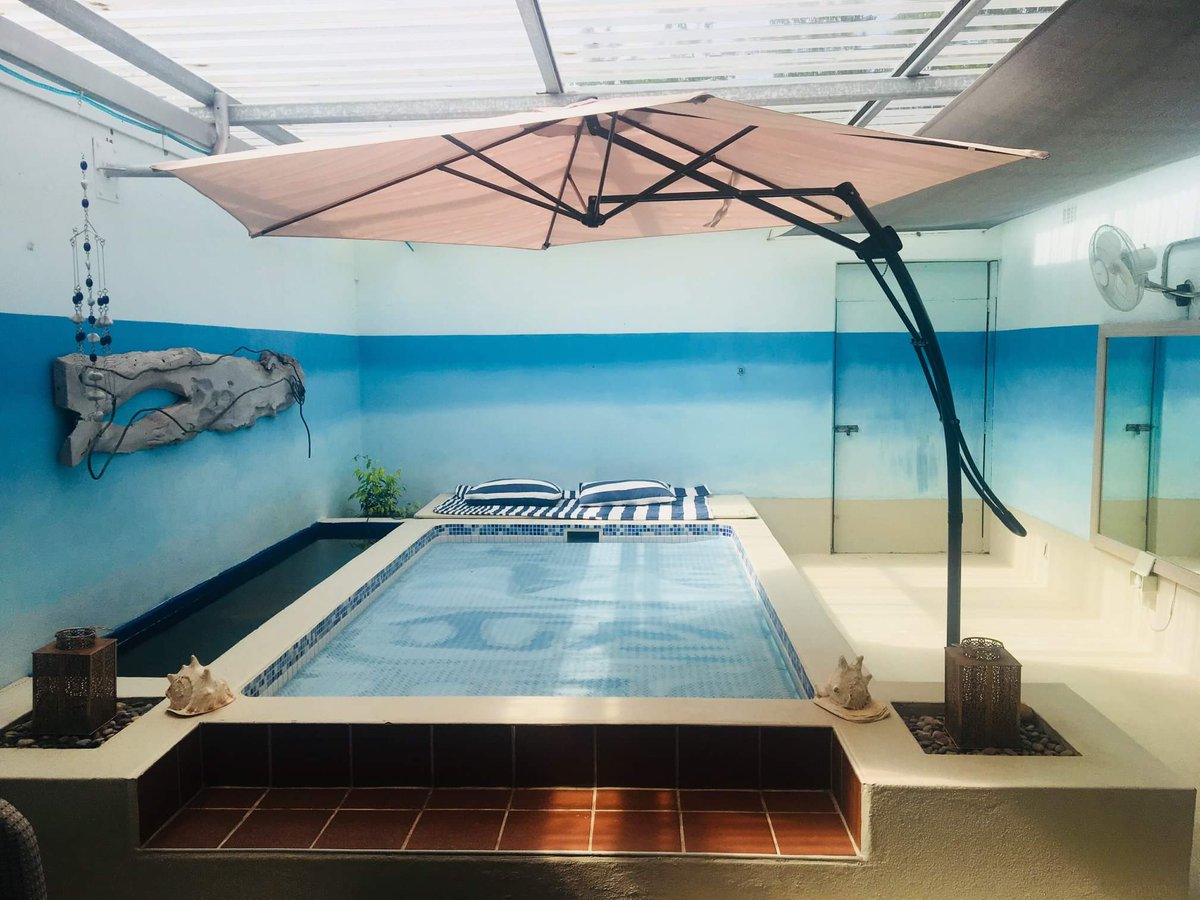 OverbergWedFair's tweet photo. Offering the "perfect peaceful haven" for you at the Elgin Valley Inn. They will be exhibiting at the Overberg Wedding Fair this...https://t.co/VtFhGzrLUm"

#overbergweddingfair #weddingfair #exhibitors #elginvalleyinn #accommodation #honeymoon #getaway #alloveroverberg https://t.co/UYhDNbvZMd